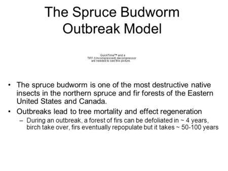 The Spruce Budworm Outbreak Model The spruce budworm is one of the most destructive native insects in the northern spruce and fir forests of the Eastern.