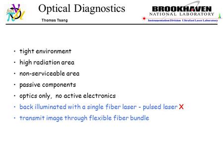 Optical Diagnostics Thomas Tsang tight environment high radiation area non-serviceable area passive components optics only, no active electronics back.