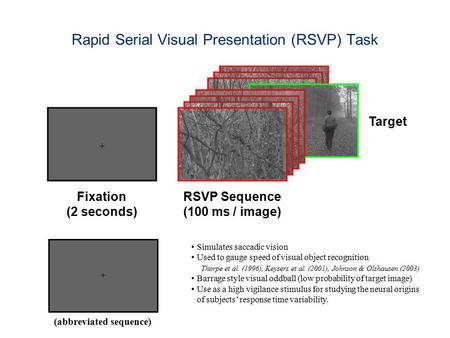 Rapid Serial Visual Presentation (RSVP) Task (abbreviated sequence) Simulates saccadic vision Used to gauge speed of visual object recognition Thorpe et.