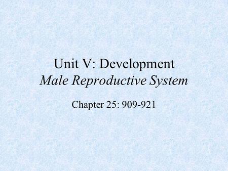 Unit V: Development Male Reproductive System
