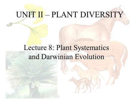 UNIT II – PLANT DIVERSITY Lecture 8: Plant Systematics and Darwinian Evolution.