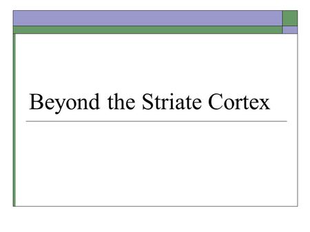 Beyond the Striate Cortex. Extrastriate Pathways  Parallel processing of visual information from the striate cortex.  Three pathways: Color processing.