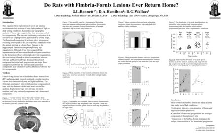 Do Rats with Fimbria-Fornix Lesions Ever Return Home? S.L.Bennett 1* ; D.A.Hamilton 2 ; D.G.Wallace 1 1. Dept Psychology, Northern Illinois Univ., DeKalb,
