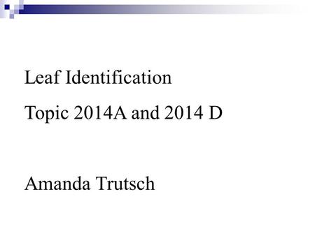 Leaf Identification Topic 2014A and 2014 D Amanda Trutsch.