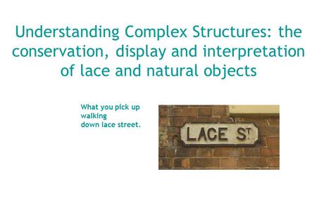 Understanding Complex Structures: the conservation, display and interpretation of lace and natural objects What you pick up walking down lace street.