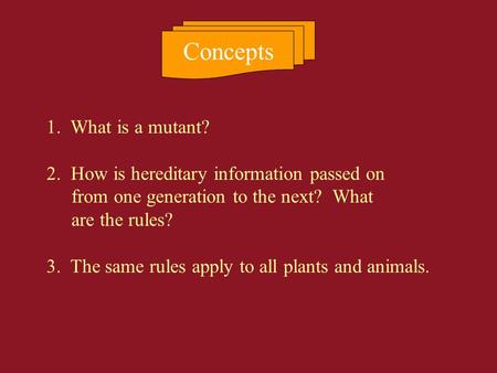 1. What is a mutant? 2. How is hereditary information passed on from one generation to the next? What are the rules? 3. The same rules apply to all plants.