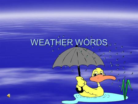 WEATHER WORDS THUNDERSTORM  A Disturbance in the Earth’s atmosphere that involves lightning and thunder.