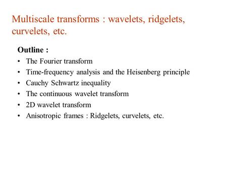 Multiscale transforms : wavelets, ridgelets, curvelets, etc.