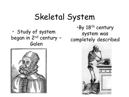 Skeletal System Study of system began in 2 nd century – Galen By 18 th century system was completely described.