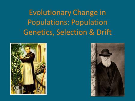 Evolutionary Change in Populations: Population Genetics, Selection & Drift.
