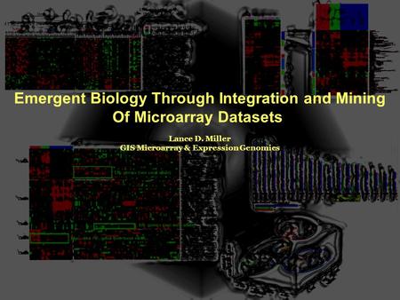 Emergent Biology Through Integration and Mining Of Microarray Datasets Lance D. Miller GIS Microarray & Expression Genomics.