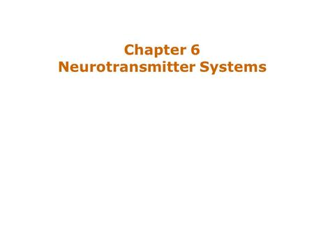 Chapter 6 Neurotransmitter Systems. Introduction Three classes of neurotransmitters –Amino acids, amines, and peptides Ways of defining particular transmitter.