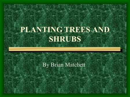 PLANTING TREES AND SHRUBS By Brian Matchett. How do Trees and Shrubs Help Us? Provide shade Provide wildlife habitat Provide food for wildlife Provide.