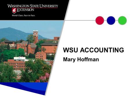 Mary Hoffman WSU ACCOUNTING. Accounting systems reflect an entity’s reporting needs. WSU required to report back to funders. Accounting system designed.