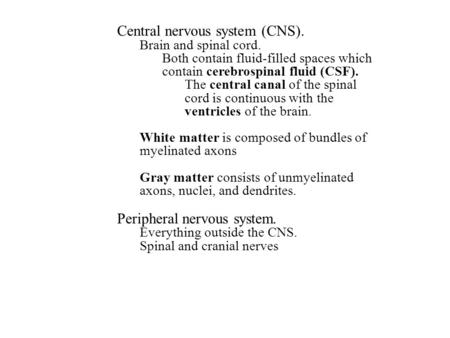 Central nervous system (CNS). Brain and spinal cord. Both contain fluid-filled spaces which contain cerebrospinal fluid (CSF). The central canal of the.