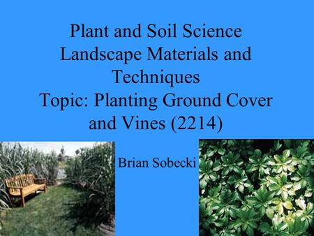 Plant and Soil Science Landscape Materials and Techniques Topic: Planting Ground Cover and Vines (2214) Brian Sobecki.