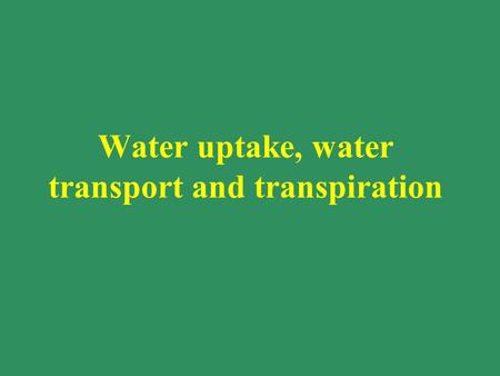 Water uptake, water transport and transpiration