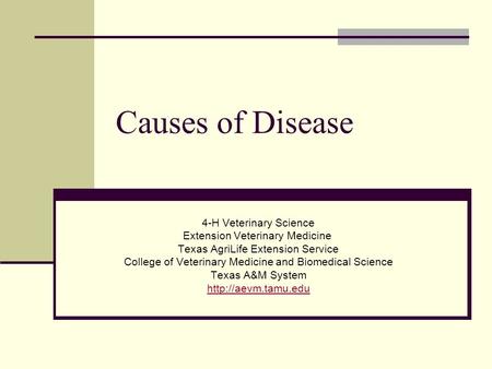 Causes of Disease 4-H Veterinary Science Extension Veterinary Medicine Texas AgriLife Extension Service College of Veterinary Medicine and Biomedical Science.