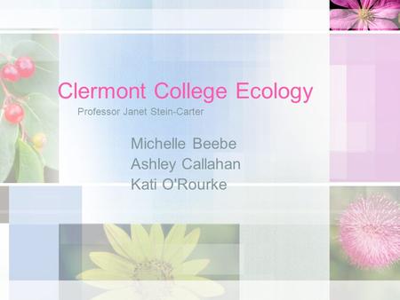 Clermont College Ecology Michelle Beebe Ashley Callahan Kati O'Rourke Professor Janet Stein-Carter.
