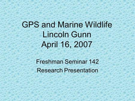 GPS and Marine Wildlife Lincoln Gunn April 16, 2007 Freshman Seminar 142 Research Presentation.