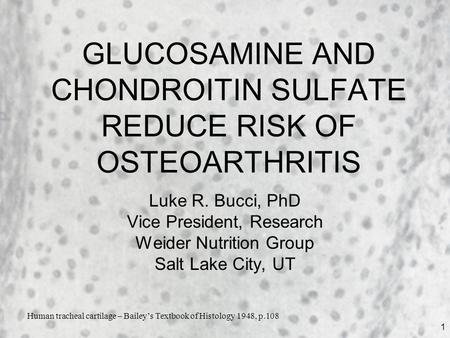 1 GLUCOSAMINE AND CHONDROITIN SULFATE REDUCE RISK OF OSTEOARTHRITIS Luke R. Bucci, PhD Vice President, Research Weider Nutrition Group Salt Lake City,