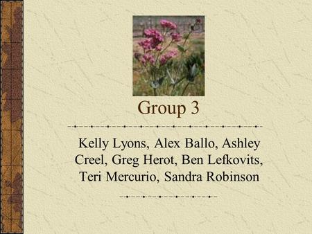 Group 3 Kelly Lyons, Alex Ballo, Ashley Creel, Greg Herot, Ben Lefkovits, Teri Mercurio, Sandra Robinson.