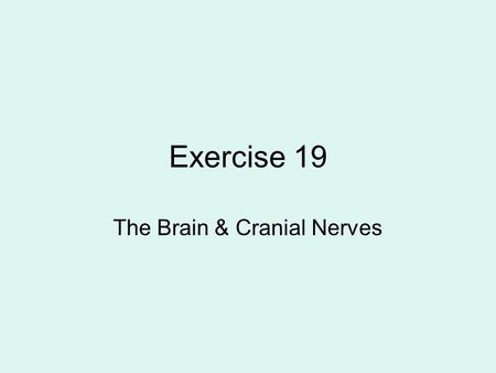 The Brain & Cranial Nerves