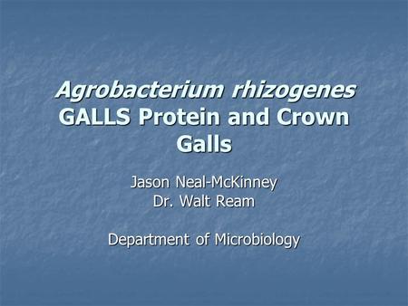 Agrobacterium rhizogenes GALLS Protein and Crown Galls Jason Neal-McKinney Dr. Walt Ream Department of Microbiology.