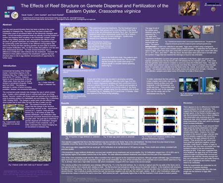 Results The Effects of Reef Structure on Gamete Dispersal and Fertilization of the Eastern Oyster, Crassostrea virginica Sarah Hauke 1, John Quinlan 2,
