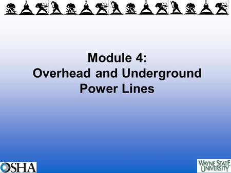 Module 4: Overhead and Underground Power Lines. Overview of Module 4 Background on power lines Hazards of overhead and underground power lines Injury.