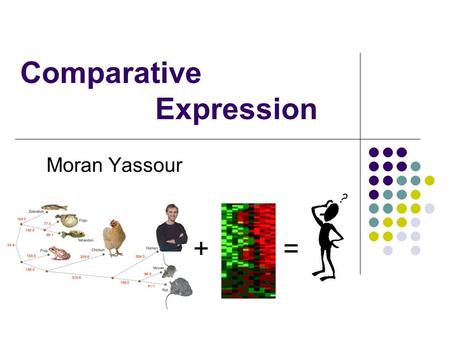 Comparative Expression Moran Yassour +=. Goal Build a multi-species gene-coexpression network Find functions of unknown genes Discover how the genes.