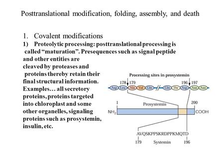 Posttranslational modification, folding, assembly, and death 1.Covalent modifications 1)Proteolytic processing: posttranslational processing is called.