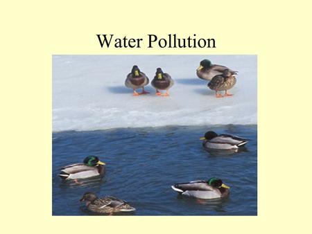 Water Pollution. Distribution of Water Reservoirs Oceans 97% Atmosphere 0.01% Rivers, Lakes, and Inland Seas 0.141% Soil Moisture 0.0012% Ground Water.