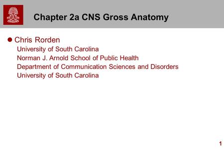 1 Chapter 2a CNS Gross Anatomy Chris Rorden University of South Carolina Norman J. Arnold School of Public Health Department of Communication Sciences.