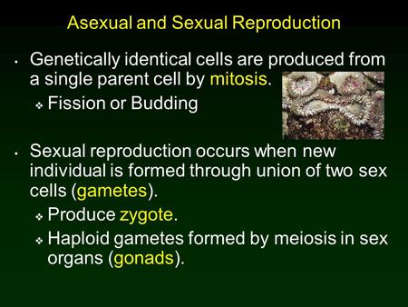 Asexual and Sexual Reproduction Genetically identical cells are produced from a single parent cell by mitosis.  Fission or Budding Sexual reproduction.