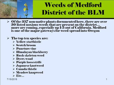 Click to edit Master title style 7/15/20151 Weeds of Medford District of the BLM  Of the 357 non-native plants documented here, there are over 30 listed.