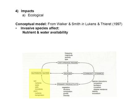 4)Impacts a)Ecological Conceptual model: From Walker & Smith in Lukens & Thieret (1997) Invasive species affect: Nutrient & water availability.