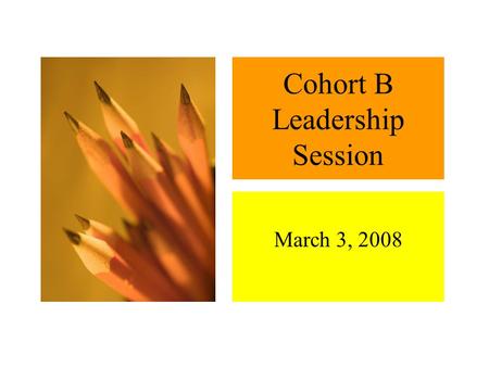 Cohort B Leadership Session March 3, 2008 Agenda.