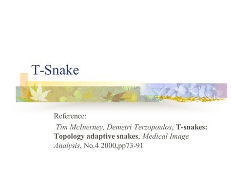 T-Snake Reference: Tim McInerney, Demetri Terzopoulos, T-snakes: Topology adaptive snakes, Medical Image Analysis, No.4 2000,pp73-91.
