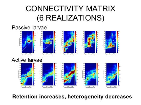 CONNECTIVITY MATRIX (6 REALIZATIONS) Passive larvae Active larvae Retention increases, heterogeneity decreases.