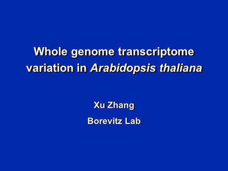 Whole genome transcriptome variation in Arabidopsis thaliana Xu Zhang Borevitz Lab Whole genome transcriptome variation in Arabidopsis thaliana Xu Zhang.