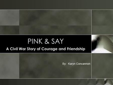 PINK & SAY A Civil War Story of Courage and Friendship By: Karyn Concannon.