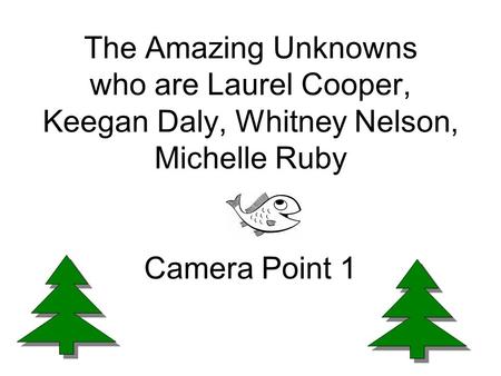 The Amazing Unknowns who are Laurel Cooper, Keegan Daly, Whitney Nelson, Michelle Ruby Camera Point 1.