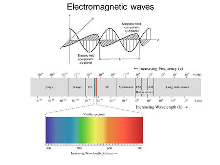 Electromagnetic waves. Electronic transitions Vibrational fine structure.