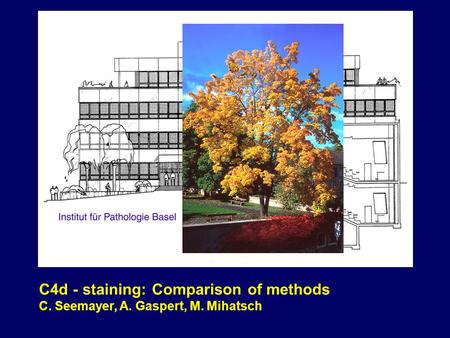 C4d - staining: Comparison of methods C. Seemayer, A. Gaspert, M. Mihatsch.