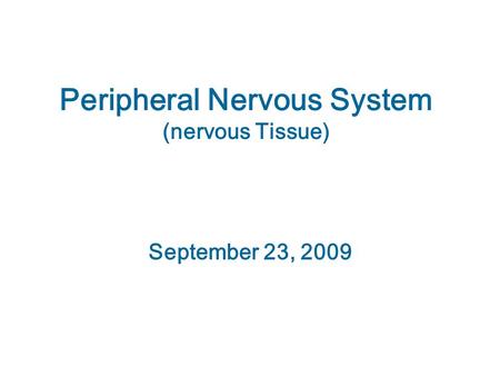 Peripheral Nervous System (nervous Tissue)