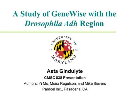 A Study of GeneWise with the Drosophila Adh Region Asta Gindulyte CMSC 838 Presentation Authors: Yi Mo, Moira Regelson, and Mike Sievers Paracel Inc.,