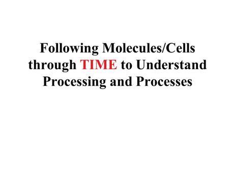 Following Molecules/Cells through TIME to Understand Processing and Processes.