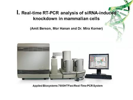 Applied Biosystems 7900HT Fast Real-Time PCR System I. Real-time RT-PCR analysis of siRNA-induced knockdown in mammalian cells (Amit Berson, Mor Hanan.