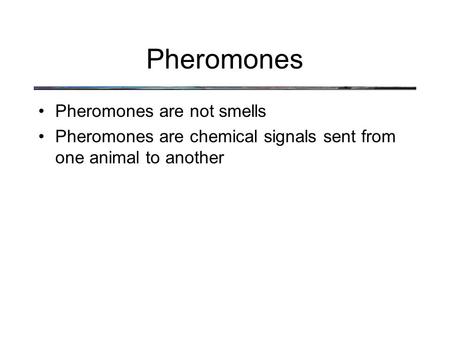Pheromones are not smells Pheromones are chemical signals sent from one animal to another Pheromones.